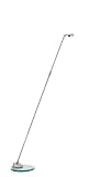 B-LED Curl