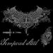 Tempered Steel~burnout Adult Long Sleeve T-Shirt