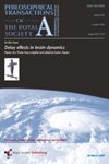 Delay effects in brain dynamics : papers of a theme issue