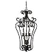 Sea Gull Lighting 51013 Obsidian Mist Windsor Manor Six-Light Hall/Foyer Pendant - 51...