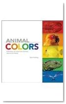 Animal Colors