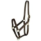 HALTER STABLE, Size: WEANLING (Catalog Category: Equine Tack & Other Equipment:HALTERS & LEADS: LEATHER)
