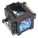eReplacements Replacement Lamp