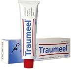Traumeel Ointment - 100 g - Ointment