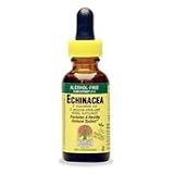 Echinacea Alcohol Free Extract - Promotes A Healthy Immune System, 4 oz., (Nature s Answer)
