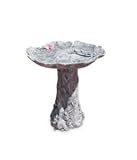 Lotus Leaf W/Rabbit Bird Bath moss finish