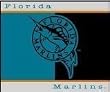 MLB Baseball All-Star Blanket/Throw Florida Marlins - Team Sports Fan Shop Merchandise