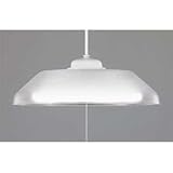 NEC �m���y���_���g 7CK757-XSG