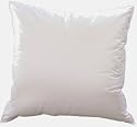 H&auml;ussling Reformetta Kopfkissen Federn/ Daune 80x80 1000g (WR 3-7)