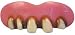 Original Teeth - Billy Bob(R)