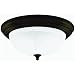 Westinghouse Lighting 64292 Ceiling Fixture