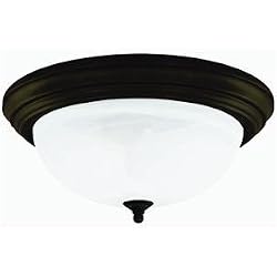 Westinghouse Lighting 64292 Ceiling Fixture
