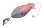 Dokken Dead Fowl Trainer Chukar Partridge