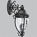  : Progress Lighting Geneva Gilded Iron Two-Light Outdoor Wall Lantern