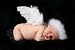 Infant Angel Wings Photo Prop