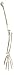 Herindera Human Arm Joint RS.400.00