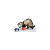 21UBGDx7TEL. SL160  Marshall Ferret Toy 2 pack Reviews