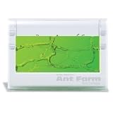 Ant Farm Gel Colony