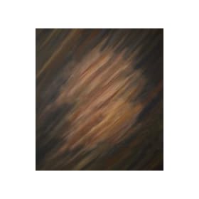 StudioHut 10' X 20' Fantasy Painted Muslin Photo Video Backdrop/Background (A0201)