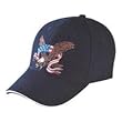 USA - Flashing Eagle / Flag - Lighted Baseball Cap / Hat One Size Fits Most - Battery Included!!