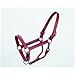 181 Halter Track Horse