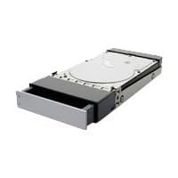 Click here to buy Apple Drive Module - Hard drive - 1 TB - hot-swap - SATA-150 - 7200 rpm - buffer: 32 MB by Apple.