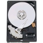 1TBRE2 Sata II 3.5IN