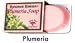 Coconut Soap Plumeria