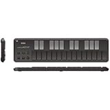 Korg nanoKEY2 Slim-Line USB Keyboard, Black