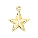 Christmas Star Charm
