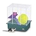 Pet Supplies : My First Hamster Home - Two Story