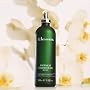 Elemis Japanese Camellia Oil