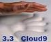 Kitchen: Small picture for 3.3 Cloud9 Twin 2 Inch 100% Visco Elastic Memory Foam Mattress Topper