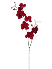 24 Artificial Red Velvet Mini Phalaenopsis Orchid 