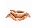 Fitz and Floyd Seaboard Butter Server with Spoon