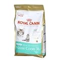 Royal Canin Kitten Maine Coon 36 Dry Mix 4 kg