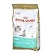 Royal Canin Kitten Maine Coon 36 Dry Mix 4 kg