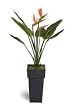 artificial bird of paradise