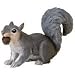Wild Safari Forest - Grey Squirrel with Acorn by Safari Ltd