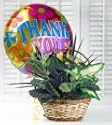 Same Day Flower Delivery Thank You Garden