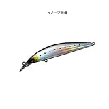 ダイワ(Daiwa) ショアラインシャイナー カレントマスター9S トランスイワシ 93mm 04846348