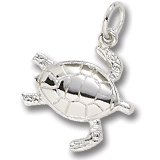 Tortoise Charm by Rembrandt Charms