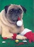 21UQtGcXOQL. SL160  Pug Christmas Card The Yule Dog