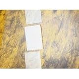VWR Electrophoresis Plates, Bio-Rad Protean II Front Plate 7 7/8" x 7 7/8", 2/Pk