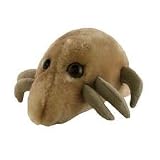 GIANT Microbes - Dust Mite (Dermatophagoides pteronyssinus) Plush Toy