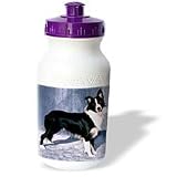 Dogs Border Collie - Border Collie - Water Bottles