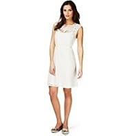 Indigo Collection Lace & Mesh Dress with Camisole
