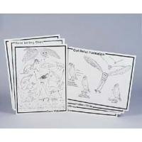 Fisher Scientific Elementary Owl Pellet Kit