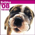 Bulldog Wall (ARTLIST) 2008