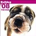 Bulldog Wall (ARTLIST) 2008